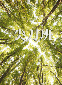 日韩中文字幕精品视频在线